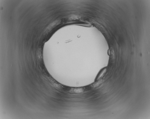 X0000075840665200610151546