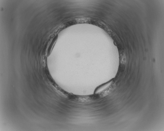 X0000075840666200610151546