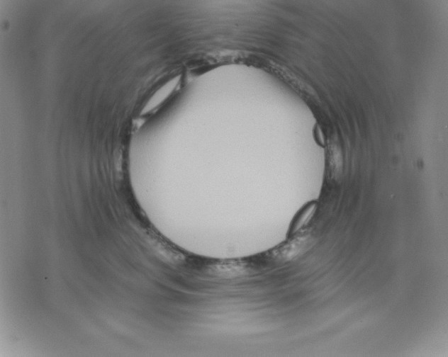 X0000075840668200610151546