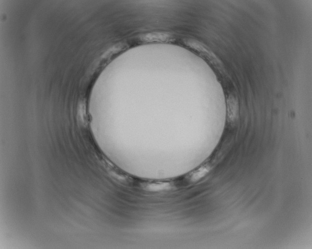 X0000075840669200610151546