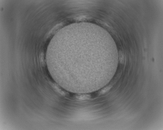 X0000075840670200610151546