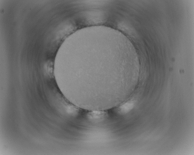 X0000075840672200610151546