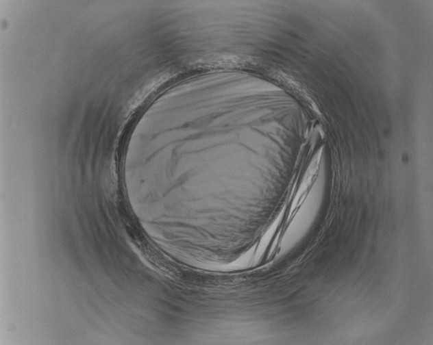 X0000075840674200610151546