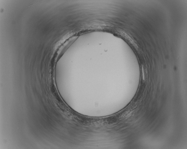 X0000075840675200610151546