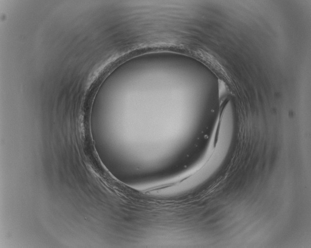 X0000075840676200610151546