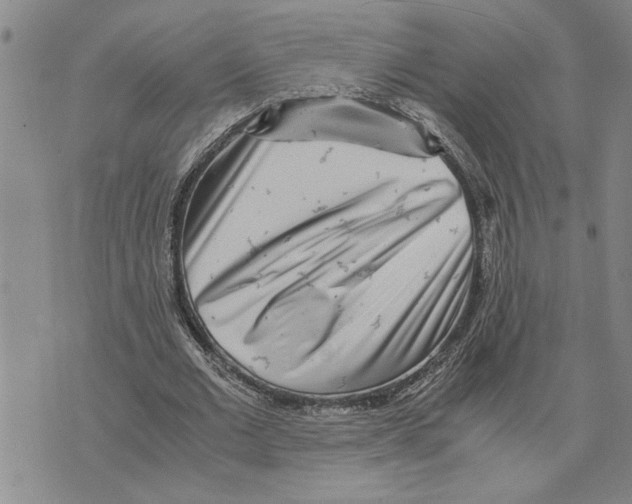 X0000075840677200610151546