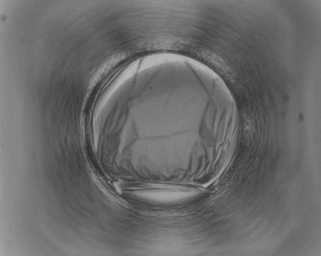 X0000075840678200610151545