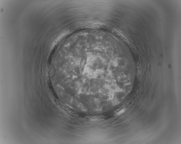 X0000075840679200610151545