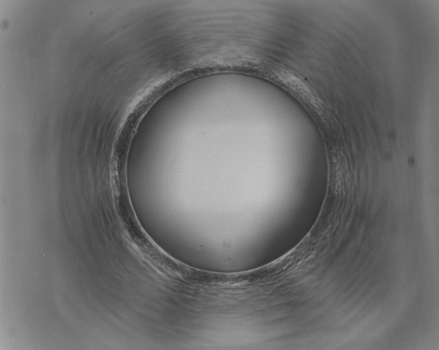 X0000075840680200610151545