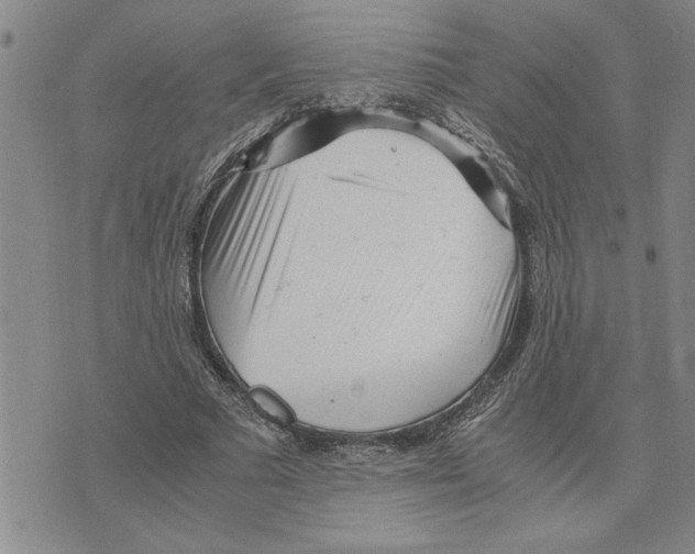 X0000075840681200610151545