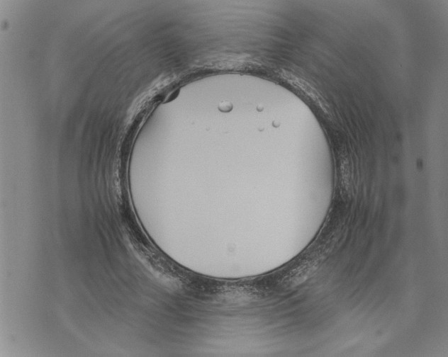 X0000075840682200610151545