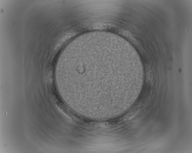 X0000075840683200610151545