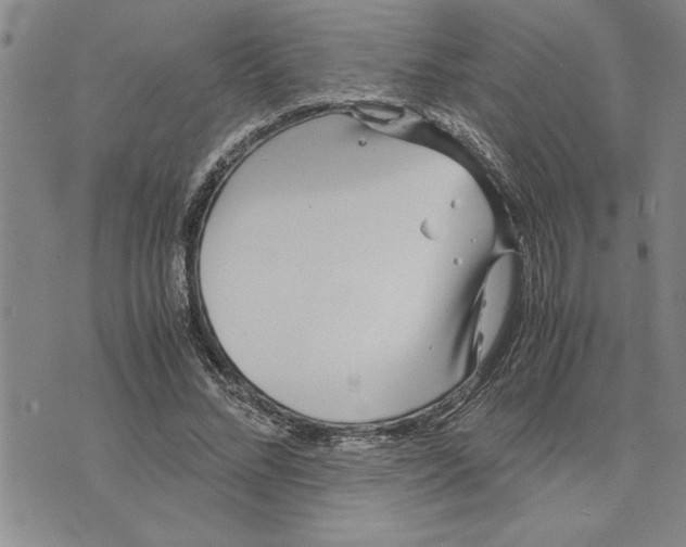 X0000075840684200610151545