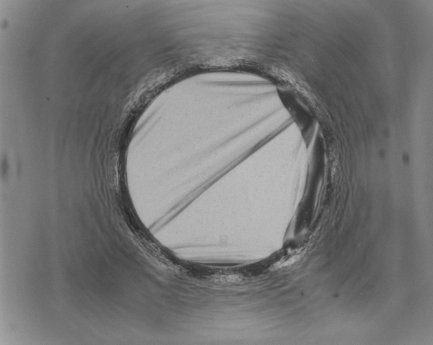 X0000075840685200610151545