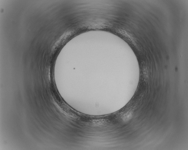 X0000075840686200610151545