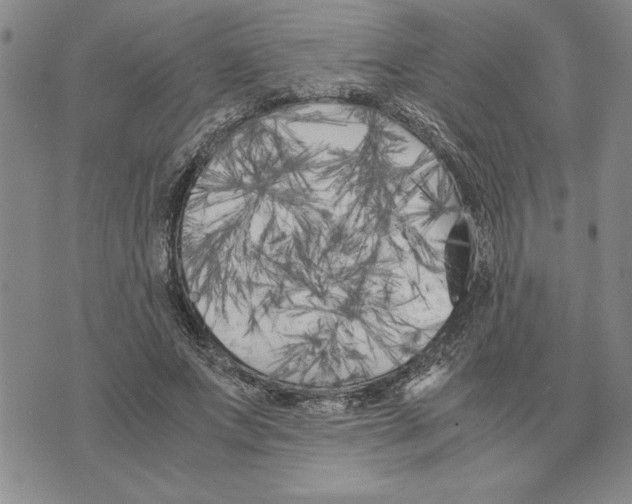 X0000075840687200610151545