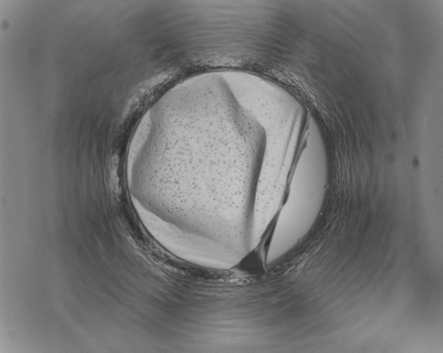 X0000075840688200610151545