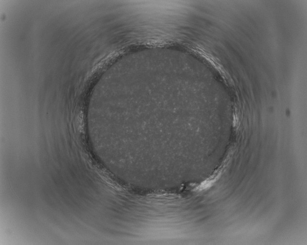 X0000075840689200610151545