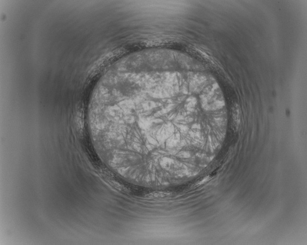 X0000075840691200610151545