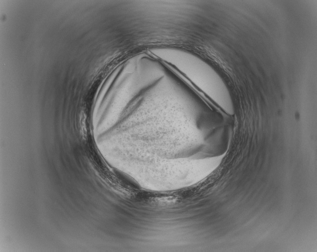 X0000075840692200610151545