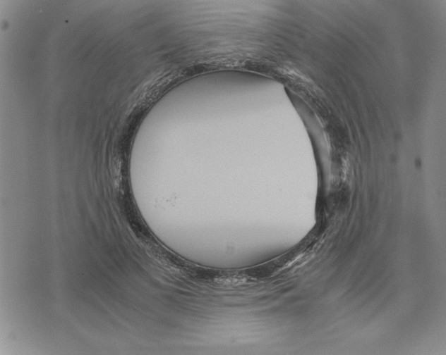 X0000075840693200610151545