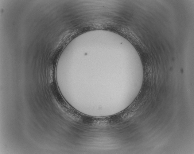 X0000075840694200610151545