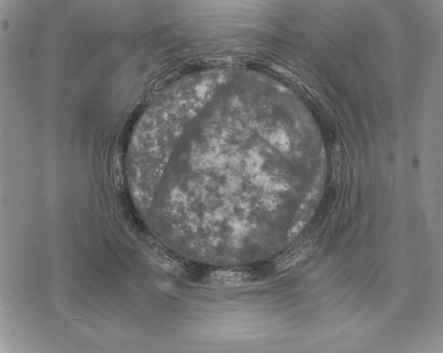 X0000075840699200610151545