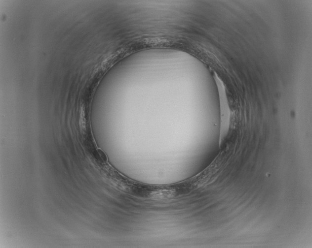 X0000075840700200610151545