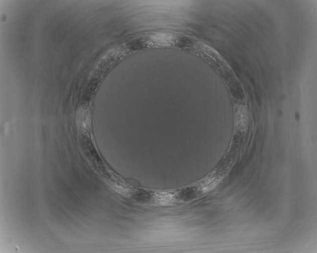 X0000075840701200610151545