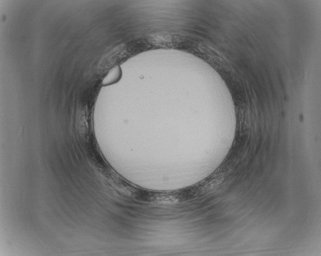 X0000075840702200610151545