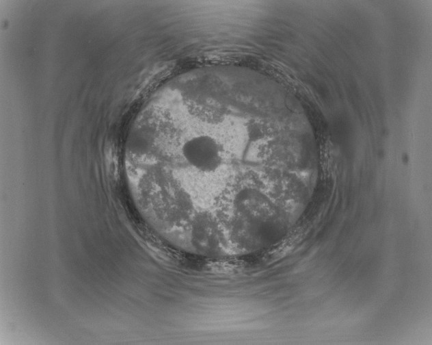 X0000075840703200610151545