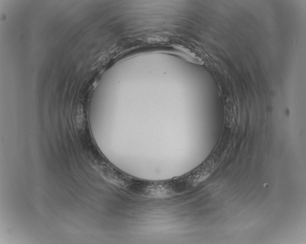 X0000075840704200610151545