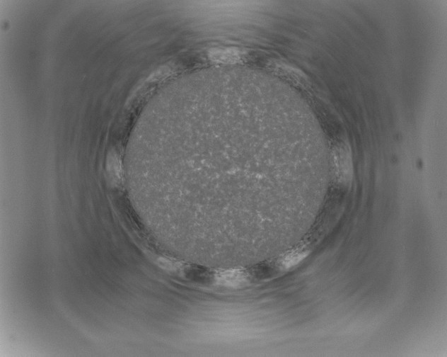 X0000075840705200610151545