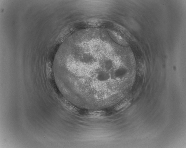 X0000075840707200610151545