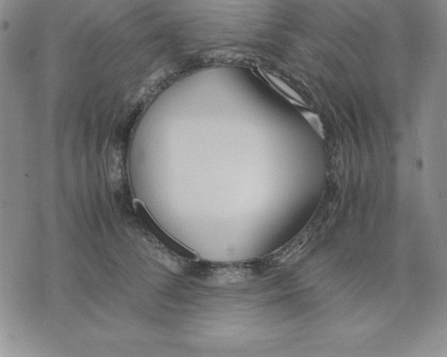 X0000075840708200610151545