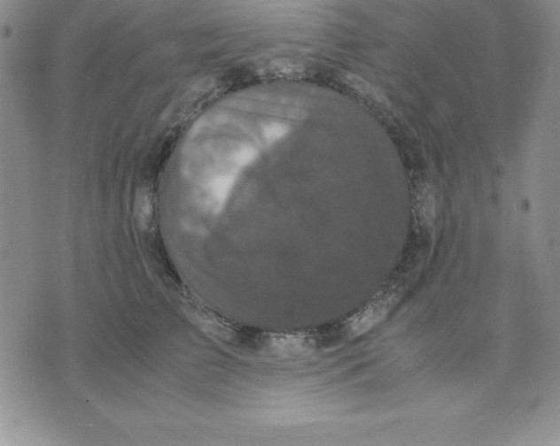 X0000075840709200610151545