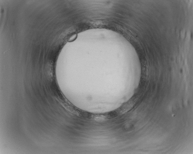 X0000075840710200610151545