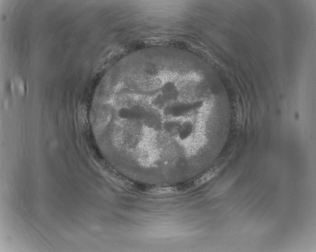 X0000075840711200610151545