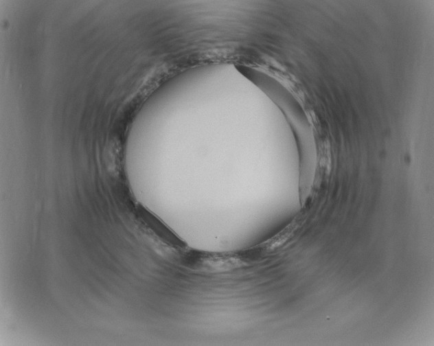 X0000075840712200610151545