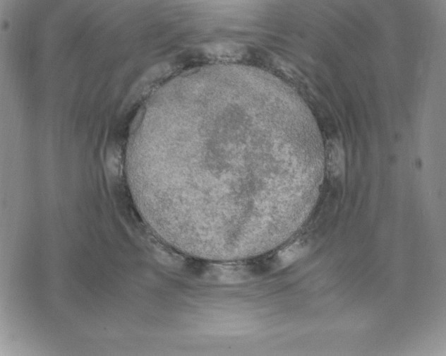 X0000075840713200610151545