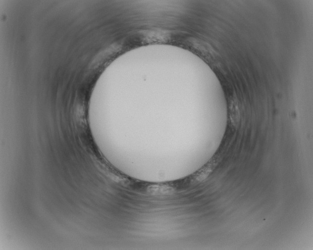 X0000075840714200610151545