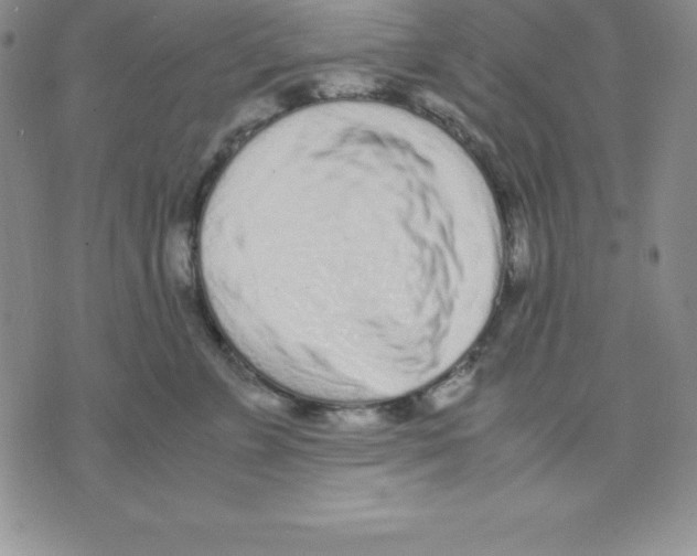 X0000075840715200610151545