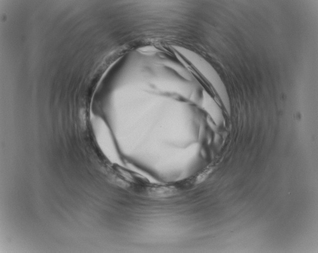 X0000075840716200610151545