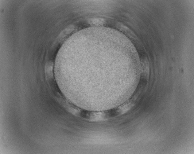 X0000075840717200610151545