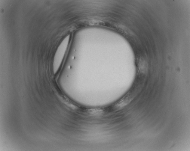 X0000075840719200610151545