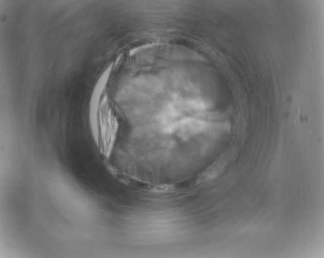 X0000075840720200610151545