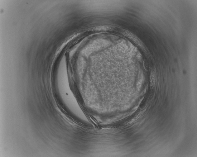 X0000075840722200610151544