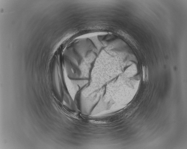 X0000075840723200610151544