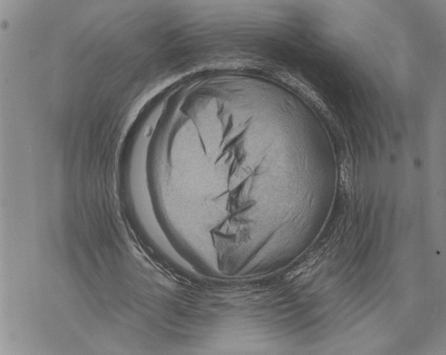 X0000075840724200610151544