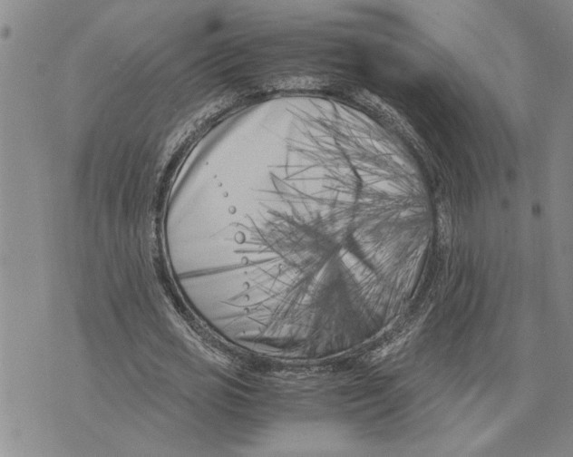 X0000075840725200610151544